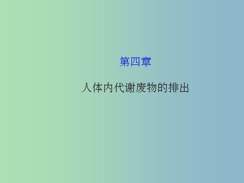 七年级生物下册 第五章 人体内代谢废物的排出 新人教版