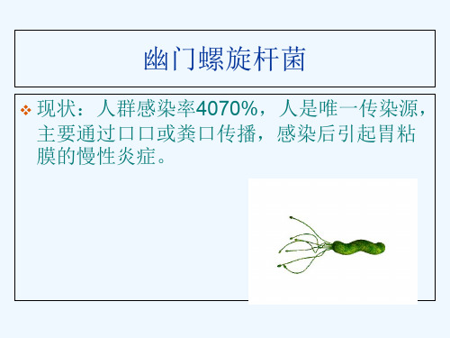 幽门螺旋杆菌治疗最新指南