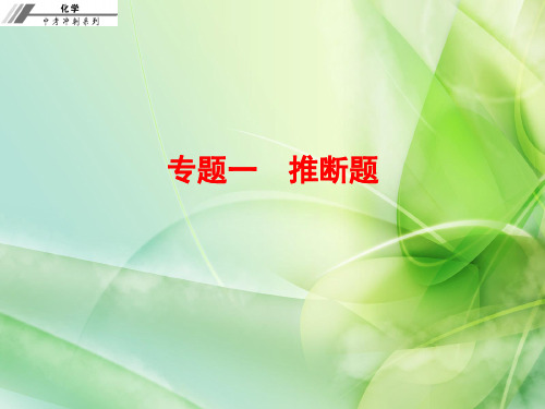 中考化学专题复习课件 专题一 推断题(共13张PPT)