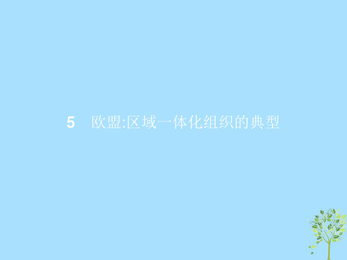 2021学年高中政治专题五日益重要的国际组织5.5欧盟：区域一体化组织的典型课件新人教版选修3