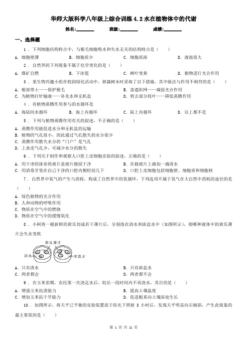 华师大版科学八年级上综合训练4.2水在植物体中的代谢