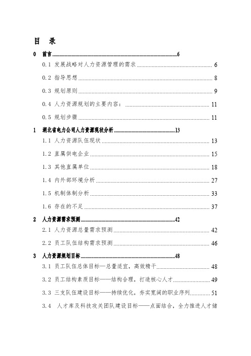 某电力公司十二五人力资源规划