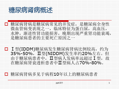 糖尿病肾病的饮食宣教ppt课件