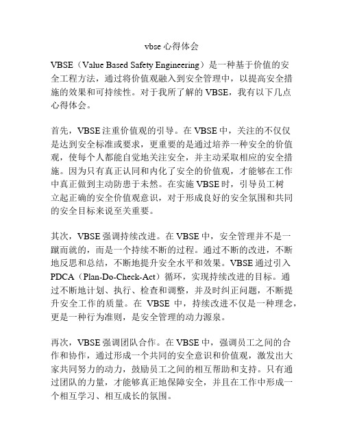 vbse心得体会