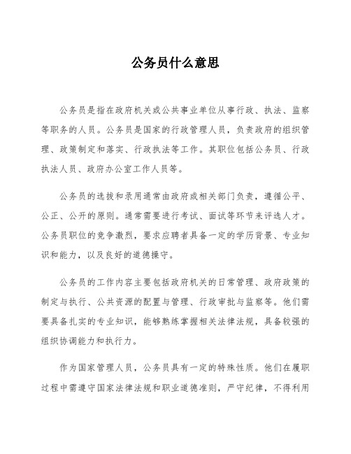 公务员什么意思