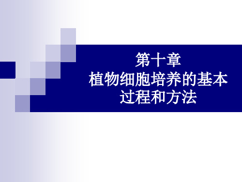 第十章植物细胞培养的基本过程和方法ppt课件