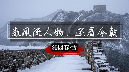 《沁园春雪》ppt课件