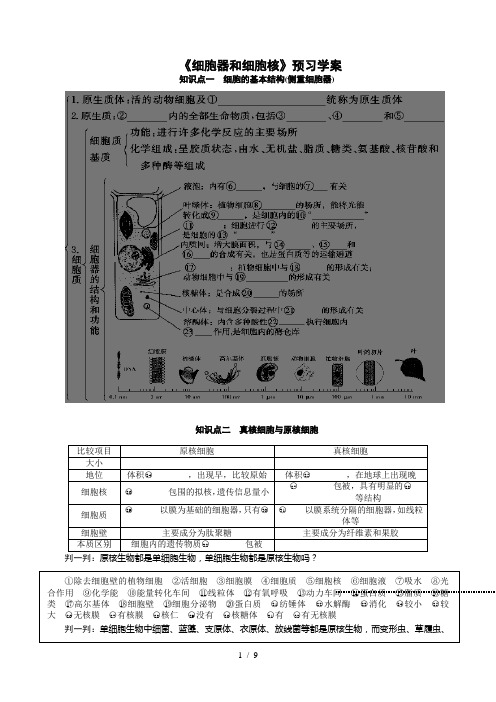 细胞核和细胞器