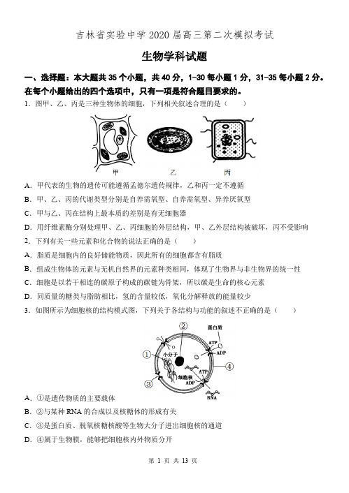 吉林省实验中学2020届高三第二次模拟考试生物试题(含答案)