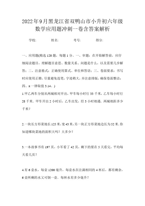 2022年9月黑龙江省双鸭山市小升初数学六年级应用题冲刺一卷含答案解析