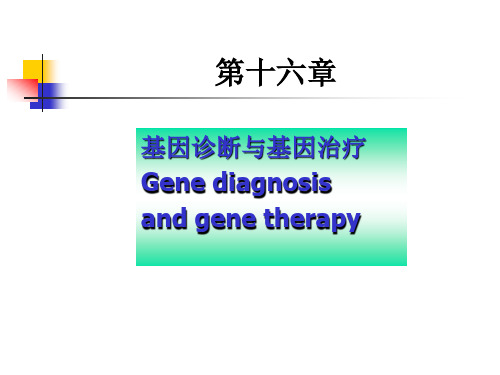 分子生物学 Ch12-tan 基因诊断与基因治疗