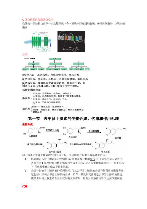 药综备考药物化学知识点 肾上腺素能药物