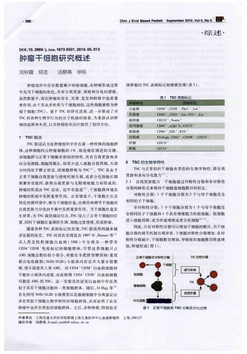 肿瘤干细胞研究概述