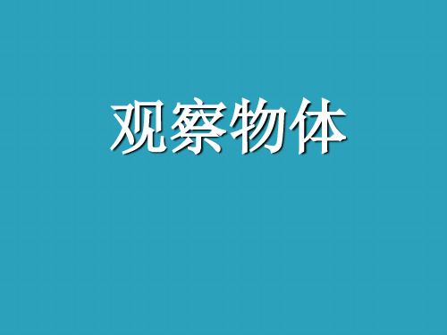 2021完整版《观察物体》PPT课件11