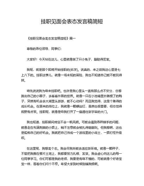 挂职见面会表态发言稿简短