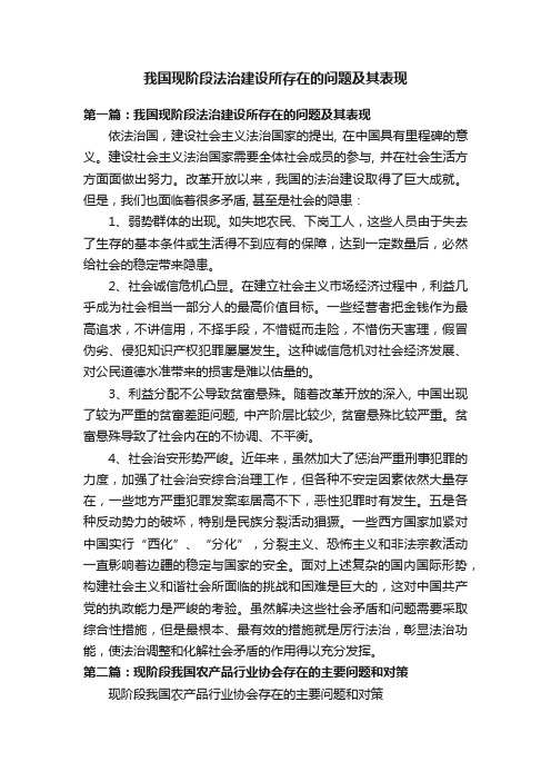 我国现阶段法治建设所存在的问题及其表现