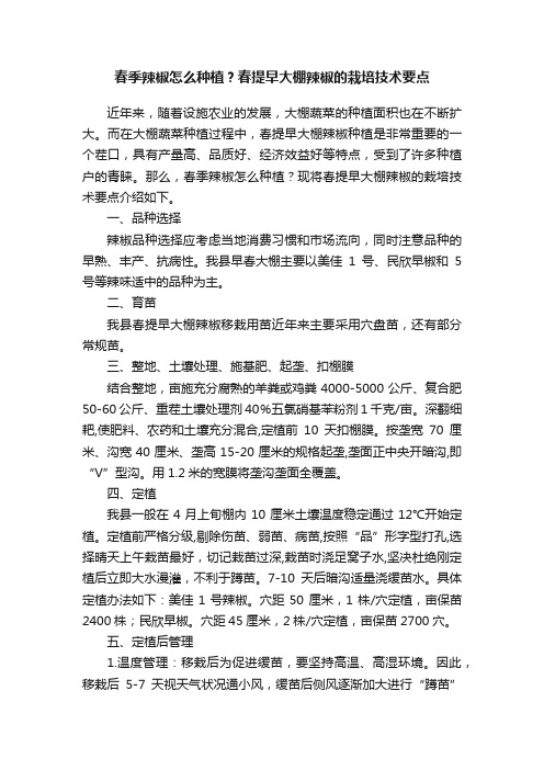 春季辣椒怎么种植？春提早大棚辣椒的栽培技术要点