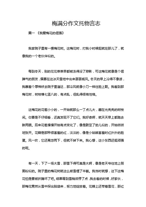 梅满分作文托物言志