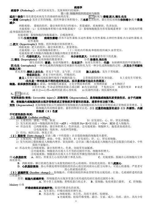 最好的病理学复习资料