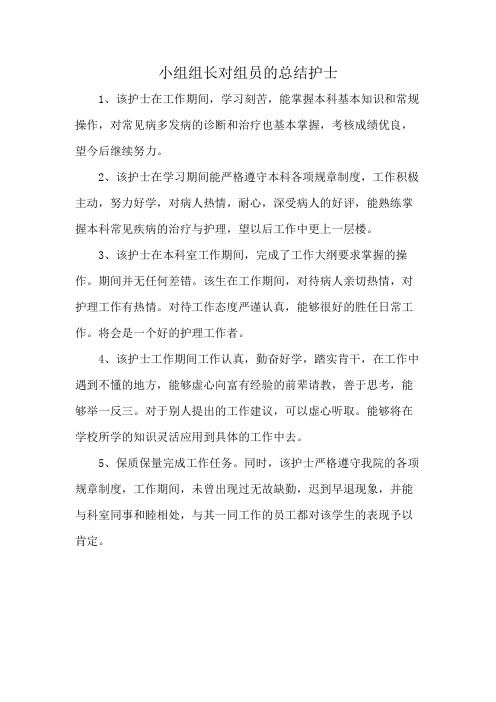 小组组长对组员的总结护士