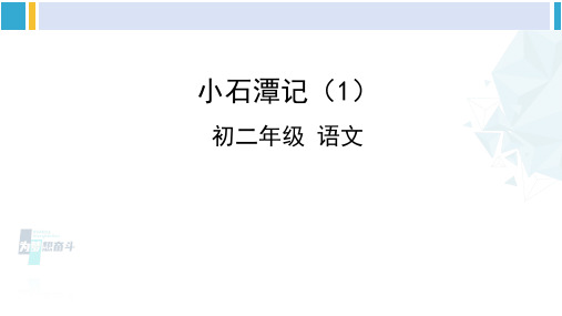 初二语文(统编版)-《小石潭记》(1)课件