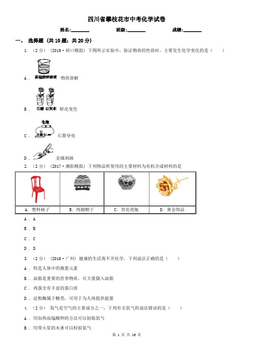 四川省攀枝花市中考化学试卷