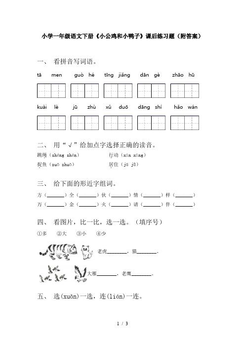 小学一年级语文下册《小公鸡和小鸭子》课后练习题(附答案)