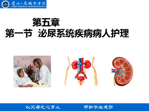 泌尿系统疾病护理PPT课件