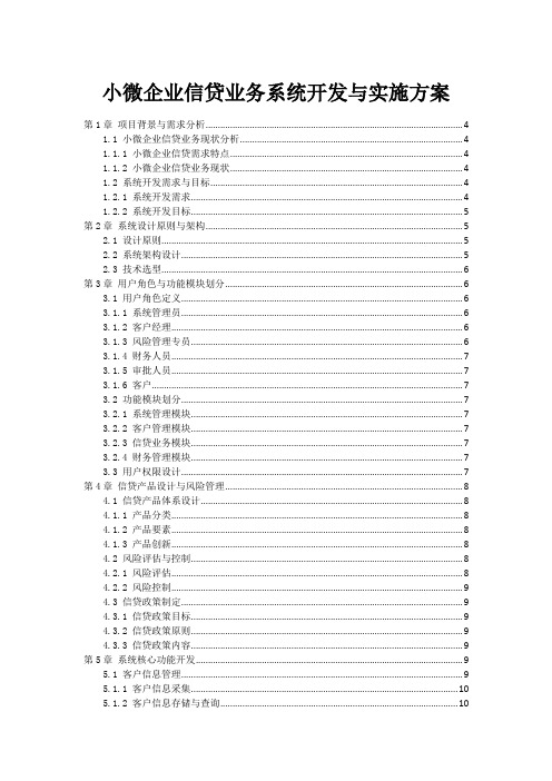 小微企业信贷业务系统开发与实施方案