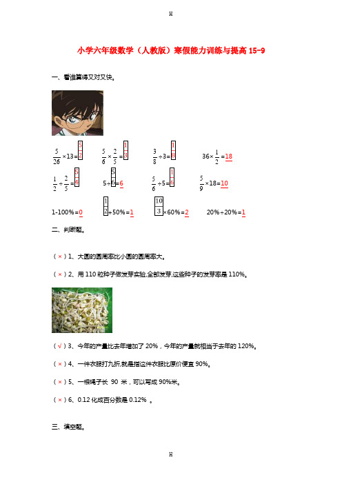 级数学寒假能力训练与提高15-9 人教版