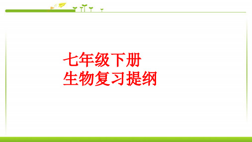 最新部编版人教版七年级下册生物册复习提纲