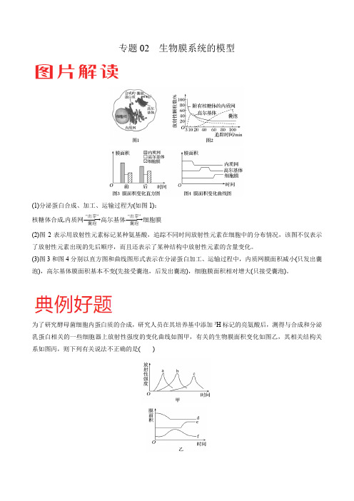 专题02 生物膜系统的模型-冲刺高考生物热点图片题型提分攻略