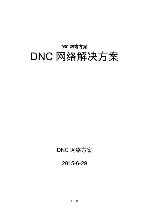 DNC网络方案