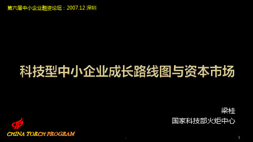 科技型中小企业成长路线图与资本市场 - 抓住创业板市场建设的机遇