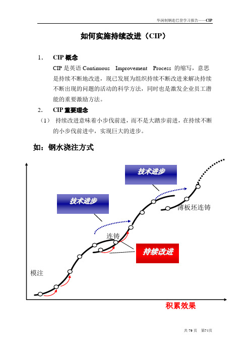 巴登钢厂的CIP