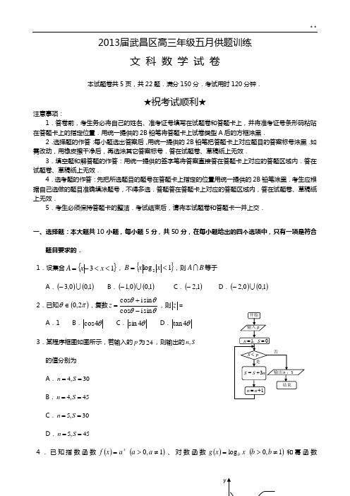 2013武汉市武昌区高三五月供题训练数学(文)试题及答案解析(Word)