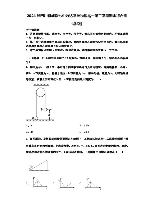 2024届四川省成都七中万达学校物理高一第二学期期末综合测试试题含解析