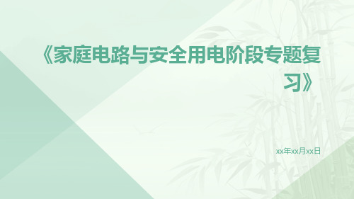 家庭电路与安全用电阶段专题复习