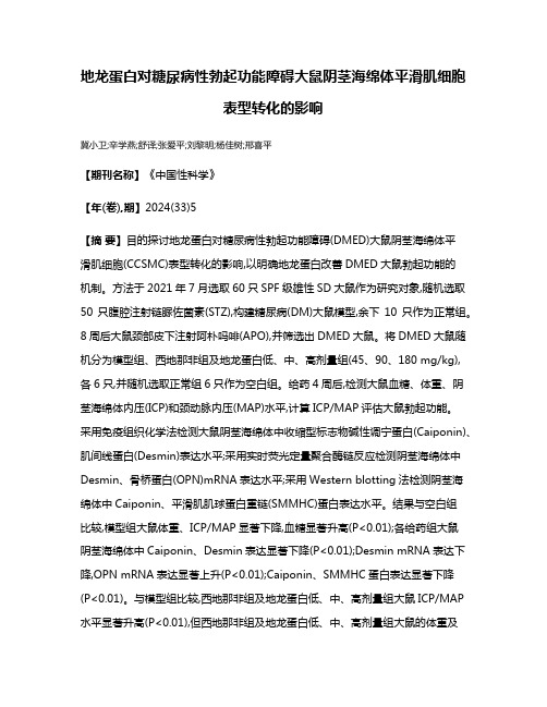 地龙蛋白对糖尿病性勃起功能障碍大鼠阴茎海绵体平滑肌细胞表型转化的影响