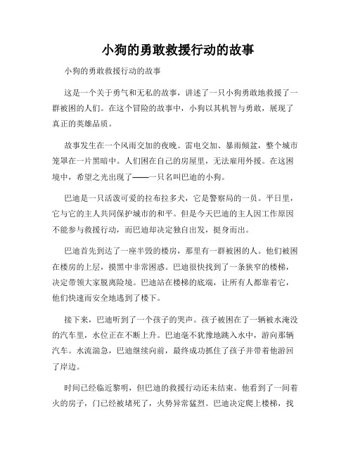  小狗的勇敢救援行动的故事