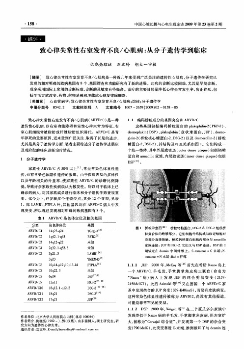 致心律失常性右室发育不良／心肌病：从分子遗传学到临床