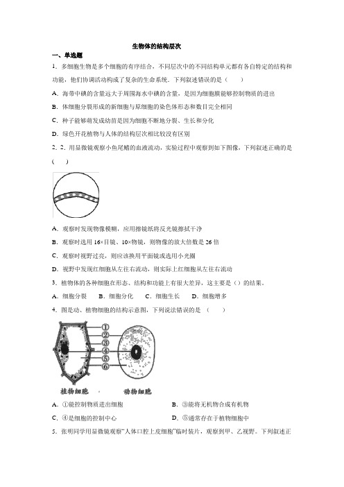 2020 中考复习：生物体的结构层次专题练习题(有答案)