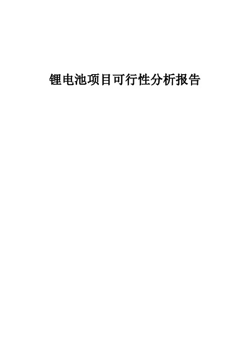 2024年锂电池项目可行性分析报告