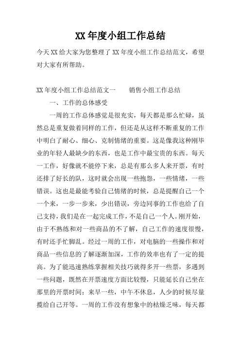 XX年度小组工作总结