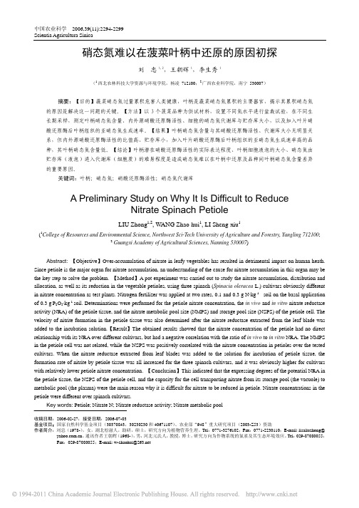 硝态氮难以在菠菜叶柄中还原的原因初探