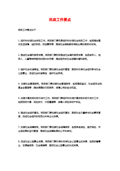 民政工作要点