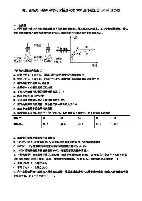 山东省威海市最新中考化学精选常考300选择题汇总word含答案