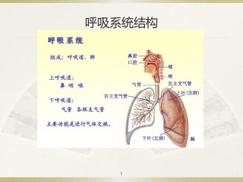 呼吸系统肿瘤ppt演示课件