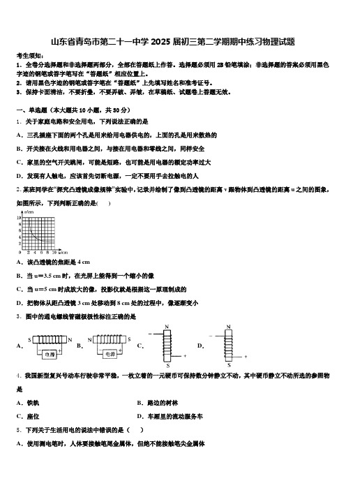 山东省青岛市第二十一中学2025届初三第二学期期中练习物理试题含解析