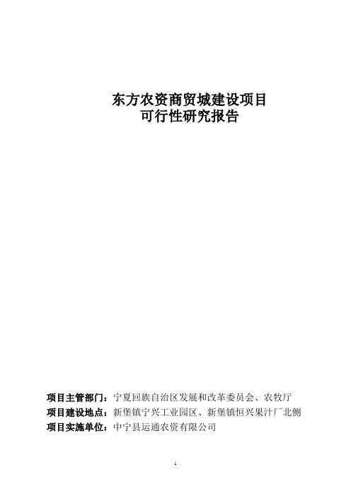 某某县东方农资商贸城建设项目立项申请报告